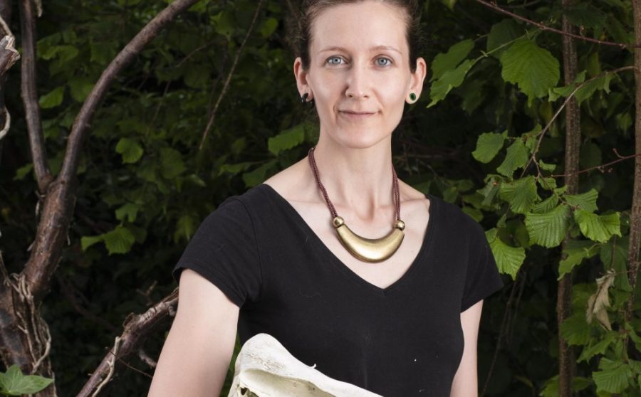 Elsa Panciroli - Beasts Before Us: The Untold Story of Mammal Evolution