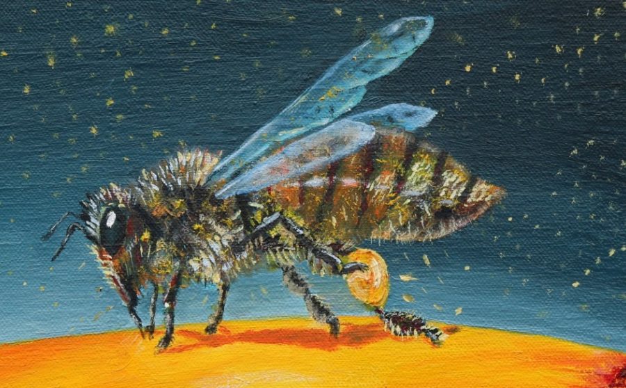 Apis Mellifera, The Honey Bee - An Exhibition by Raymond Watson