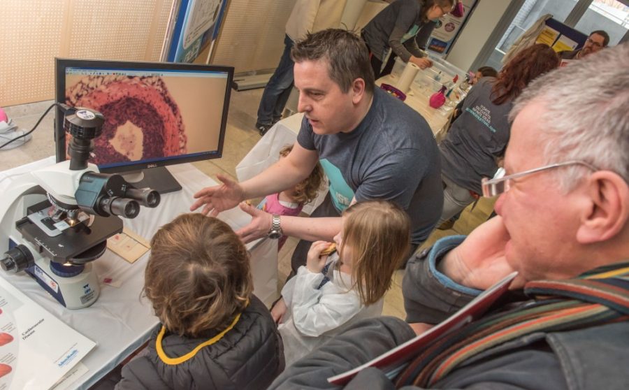 So You Want to be a Biomedical Scientist?