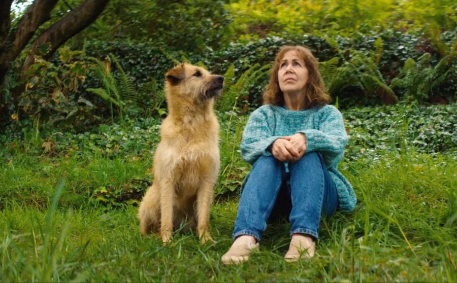 Róise and Frank (Film) | National Pet Awareness Month