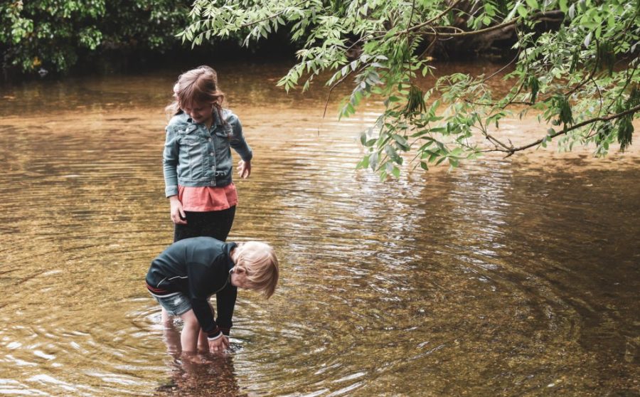 Pond-dipping in Cladagh Glen