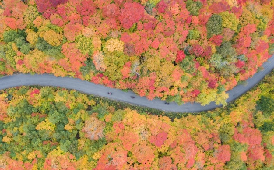 The Race to Net Zero