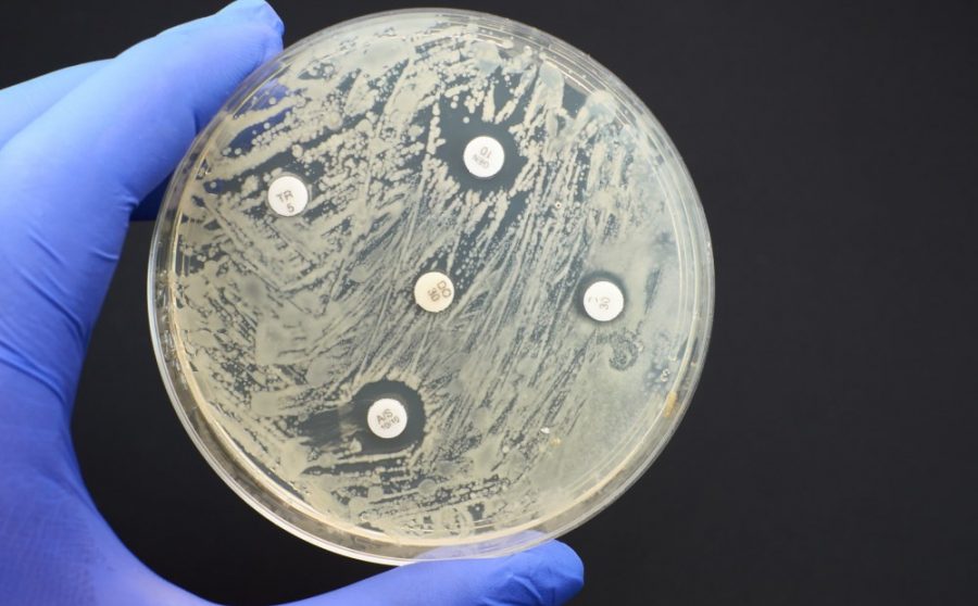 Join the Great CART Citizen Science Project