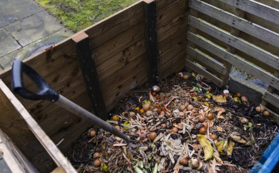 A Beginner’s Guide to the Science of Compost