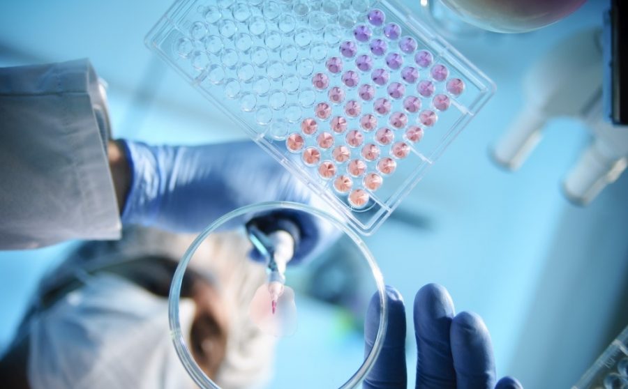 Biomedical Research in Action!