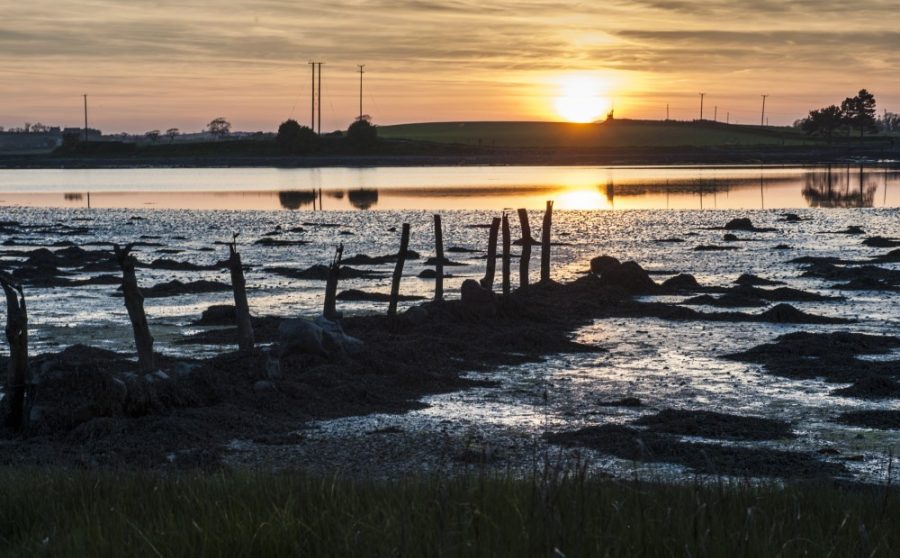 Paddle with a Purpose