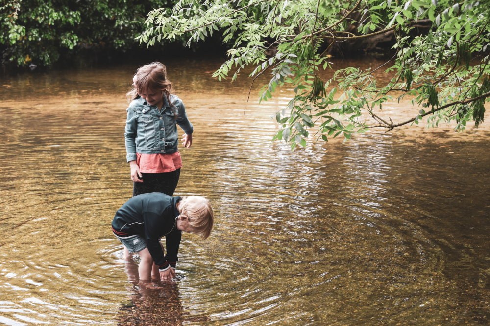 Pond-dipping in Cladagh Glen