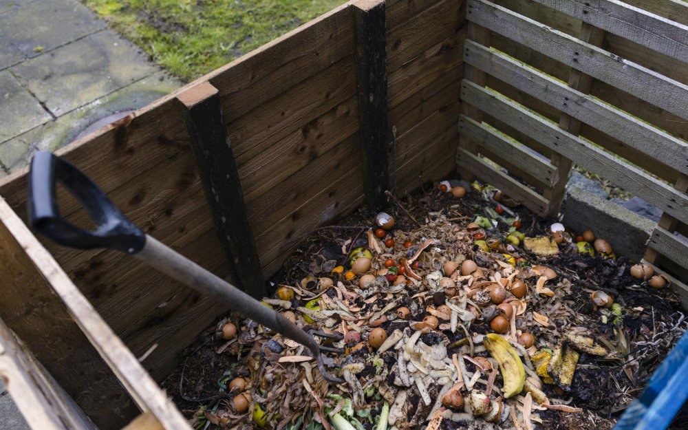 A Beginner’s Guide to the Science of Compost