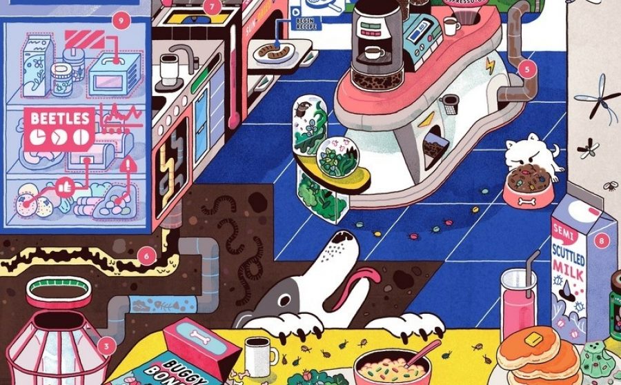 Madeleine Finlay - Beetles for Breakfast (Belfast)