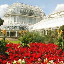 Flower bed Botanic Gardens Belfast geograph org uk 1454550 by Albert Bridge