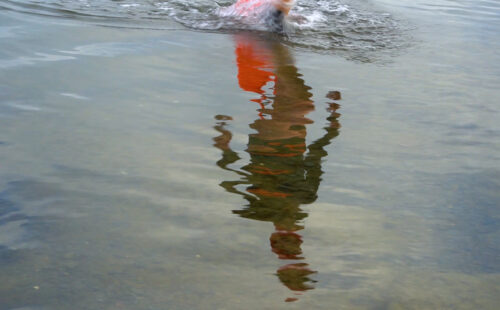 Open Water Swimming with Dr Heather Massey