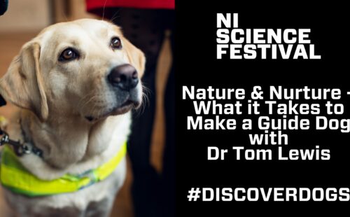 Nature & Nuture: What It Takes To Make A Guide Dog #DiscoverDogs