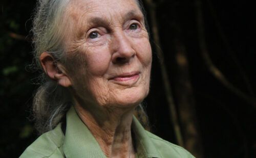 How to Save the Planet In conversation with Dr. Jane Goodall DBE, Tara Shine & Anna Kernahan